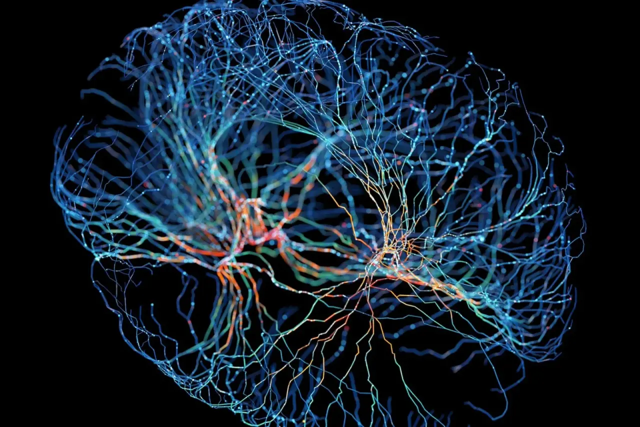 تصویر مرتبط با خبر: Dünyanın ilk ticari beyin-bilgisayar arayüzü implantı gerçekleşti - Technopat