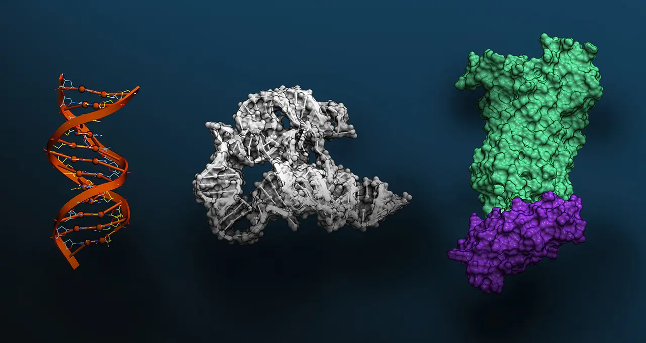 تصویر مرتبط با خبر: Massive Foundation Model for Biomolecular Sciences Now Available via NVIDIA BioNeMo